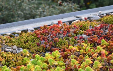 the cost of Parkham green roof installation