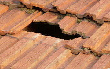 roof repair Parkham, Devon